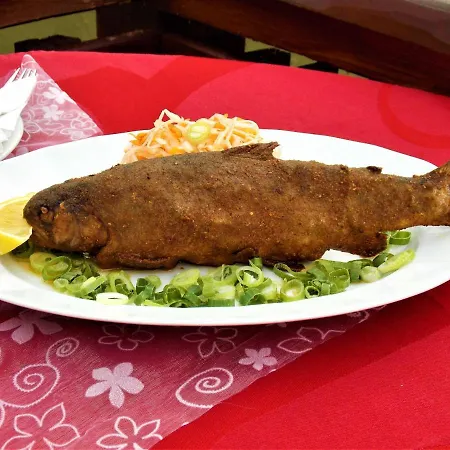 Fogadó Salas Mlyn *